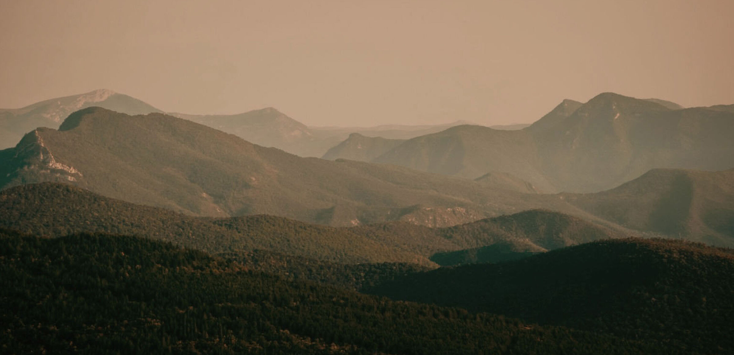 Trail run header