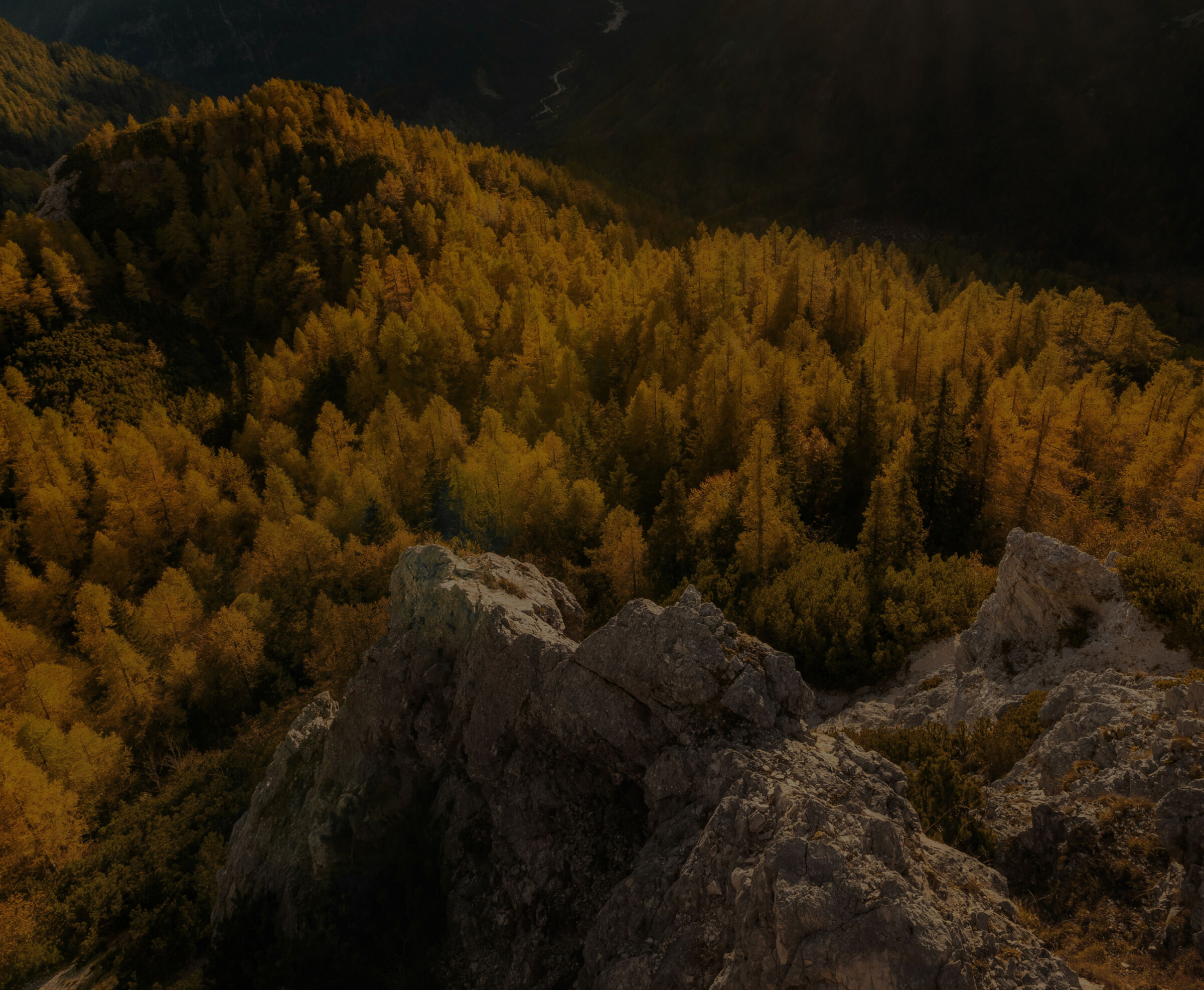 Wild trail bg